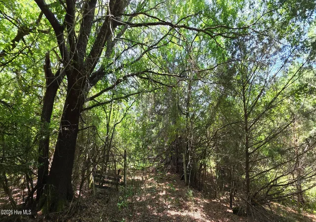3rd image of 0 Chestnut Ridge Rd, Mc Cormick, SC 29835 | MLS# 100585488
