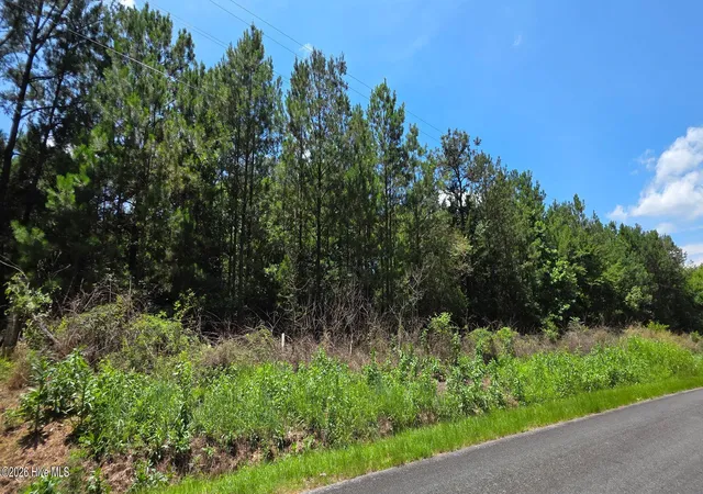 4th image of 0 Chestnut Ridge Rd, Mc Cormick, SC 29835 | MLS# 100585488