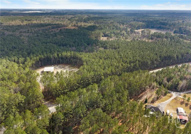 3rd image of 276 Hwy 119 Hwy N, Ellabell, GA 31308 | MLS# SA344589