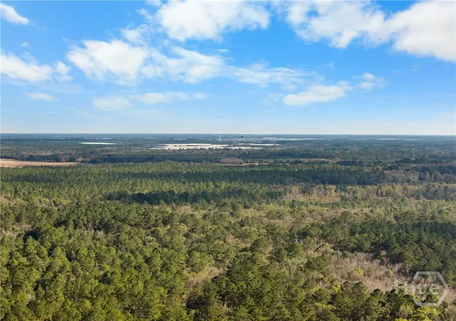 56th image of 276 Hwy 119 Hwy N, Ellabell, GA 31308 | MLS# SA344589