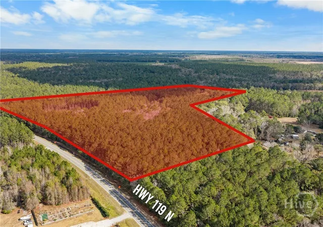 5th image of 276 Hwy 119 Hwy N, Ellabell, GA 31308 | MLS# SA344589