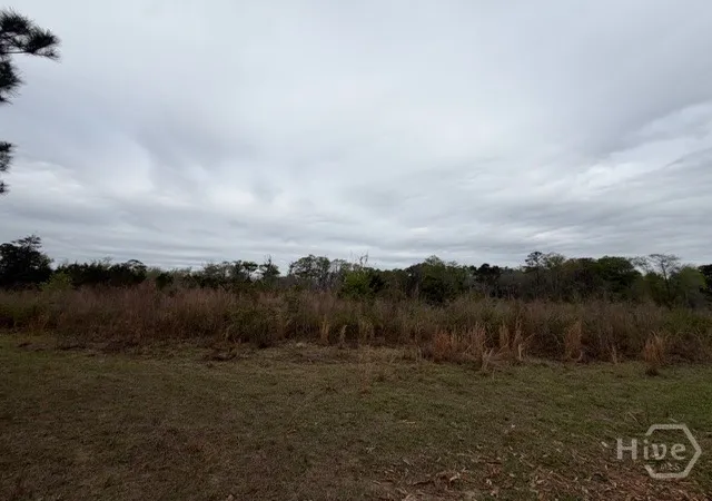 Photo 10 of Land for sale at 001 Race Path, Rincon, GA 31326 | MLS# SA351868 | Listing updated on 2026-07-07