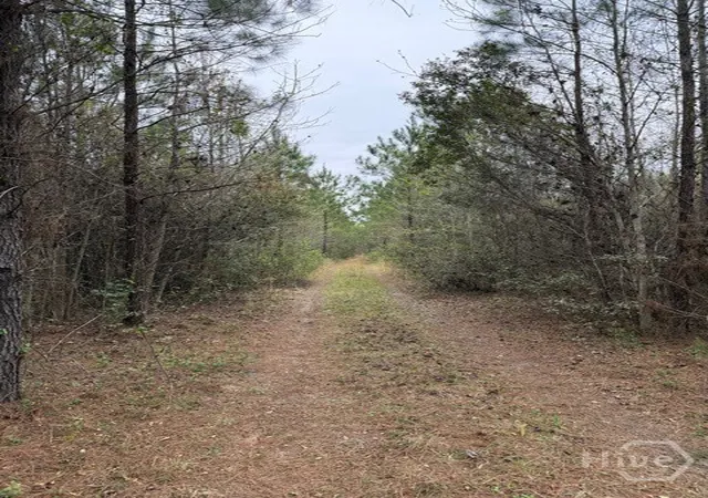 Photo 1 of Land for sale at 001 Race Path, Rincon, GA 31326 | MLS# SA351868 | Listing updated on 2026-07-07
