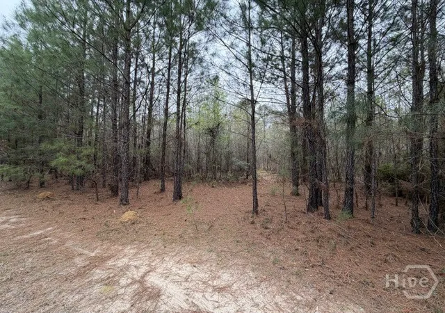 Photo 2 of Land for sale at 001 Race Path, Rincon, GA 31326 | MLS# SA351868 | Listing updated on 2026-07-07