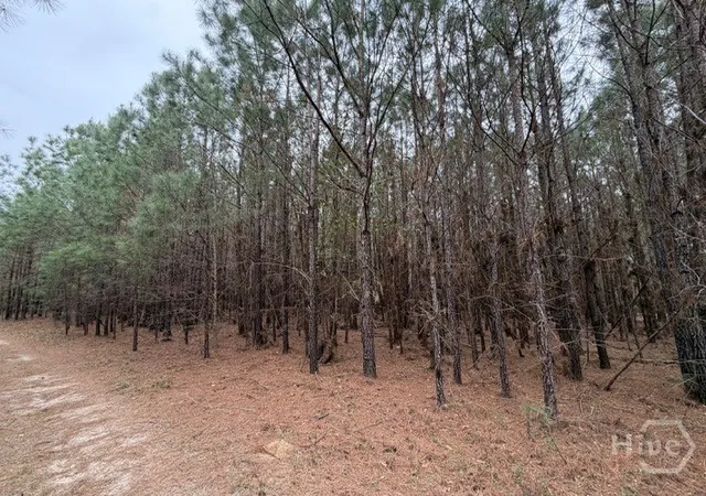 Photo 3 of Land for sale at 001 Race Path, Rincon, GA 31326 | MLS# SA351868 | Listing updated on 2026-07-07