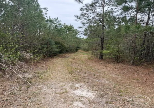 Photo 3 of Land for sale at 001 Race Path, Rincon, GA 31326 | MLS# SA351868 | Listing updated on 2026-07-07
