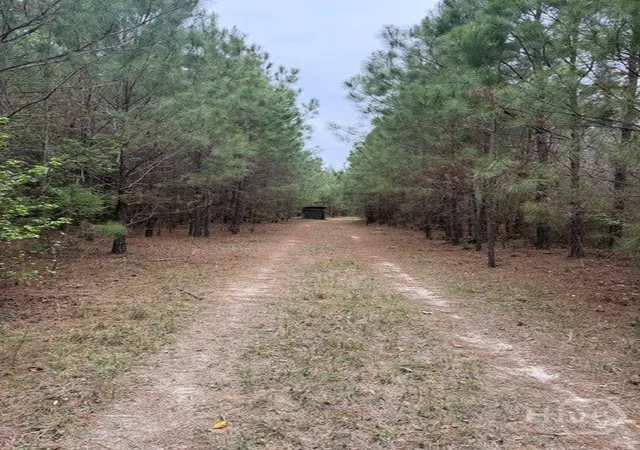Photo 4 of Land for sale at 001 Race Path, Rincon, GA 31326 | MLS# SA351868 | Listing updated on 2026-07-07