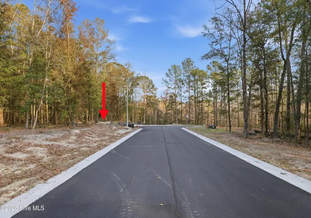 Homes for sale in Southport, NC | 1041 Brooke Ridge Lane, Southport, NC 28461 | MLS# 100556106