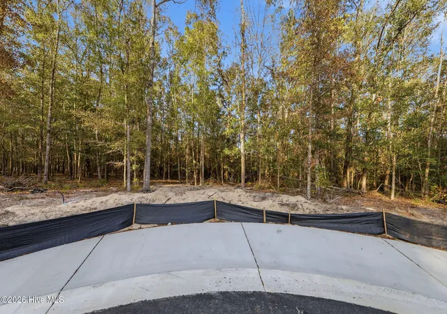Homes for sale in Southport, NC | 1041 Brooke Ridge Lane, Southport, NC 28461 | MLS# 100556106