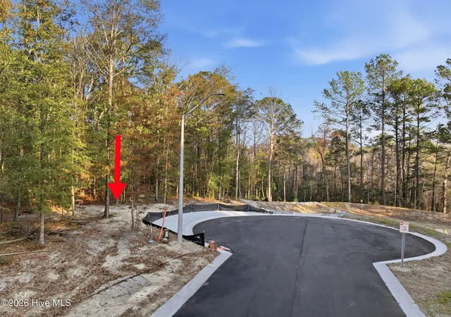 Homes for sale in Southport, NC | 1041 Brooke Ridge Lane, Southport, NC 28461 | MLS# 100556106