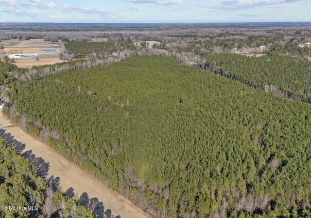 Homes for sale in Grimesland, NC | 0 Mobleys Bridge Rd, Grimesland, NC 27837 | MLS# 100554811