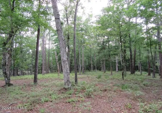 Photo 3 of Land for sale at 671 Plantation Pkwy, Oriental, NC 28571 | MLS# 100599993 | Listing updated on 2026-08-30