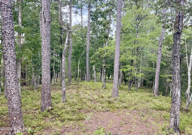 Photo 3 of Land for sale at 671 Plantation Pkwy, Oriental, NC 28571 | MLS# 100599993 | Listing updated on 2026-08-30