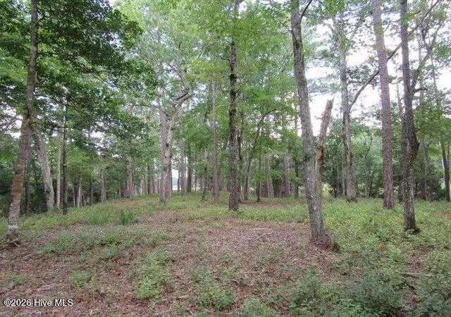 Photo 4 of Land for sale at 671 Plantation Pkwy, Oriental, NC 28571 | MLS# 100599993 | Listing updated on 2026-08-30