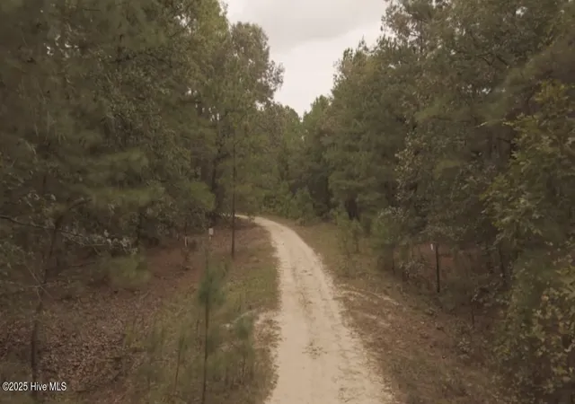 Photo 2 of Land for sale at Tbd Brandon Cir, Laurinburg, NC 28352 | MLS# 100535821 | Listing updated on 2026-03-02