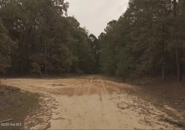 Photo 3 of Land for sale at Tbd Brandon Cir, Laurinburg, NC 28352 | MLS# 100535821 | Listing updated on 2026-03-02