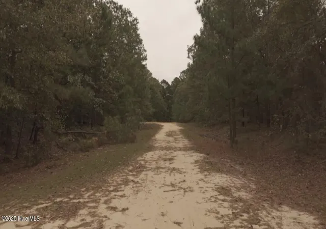 Photo 3 of Land for sale at Tbd Brandon Cir, Laurinburg, NC 28352 | MLS# 100535821 | Listing updated on 2026-03-02