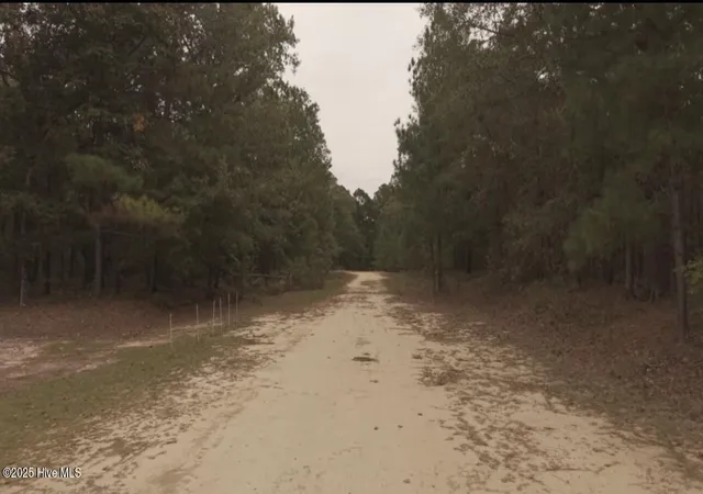 Photo 4 of Land for sale at Tbd Brandon Cir, Laurinburg, NC 28352 | MLS# 100535821 | Listing updated on 2026-03-02
