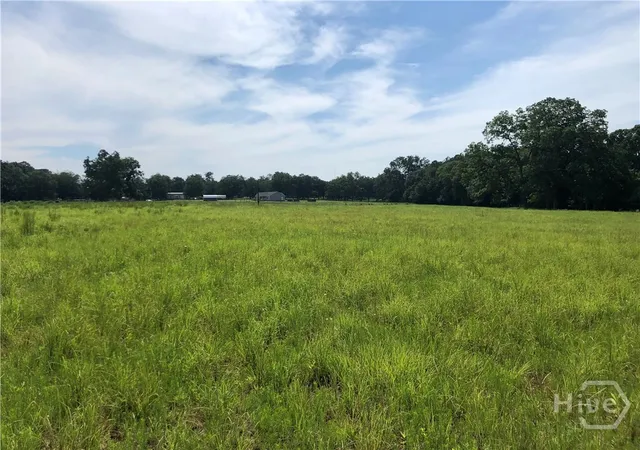 4th image of 204 Nevils Groveland Rd, Statesboro, GA 30458 | MLS# SA352660