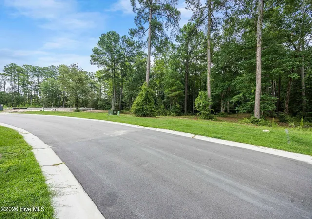 Photo 3 of Land for sale at 3695 River Park Way Ne, Leland, NC 28451 | MLS# 100595958 | Listing updated on 2026-08-13