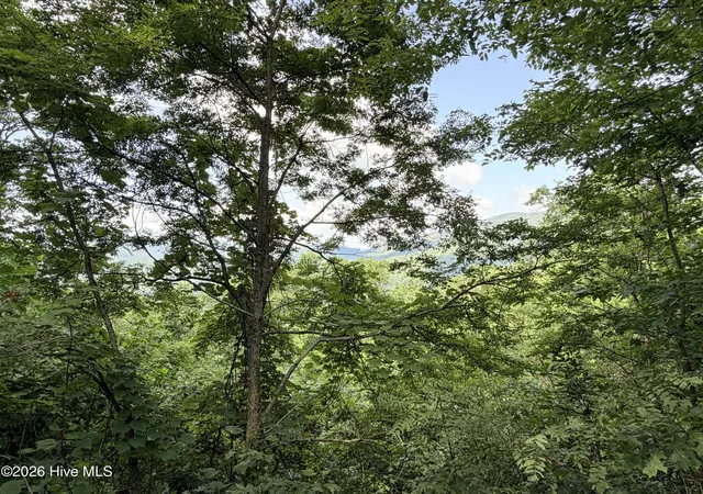 Photo 3 of Land for sale at Lot 7 Mystic Ridge Way W, Topton, NC 28781 | MLS# 100596645 | Listing updated on 2026-08-15