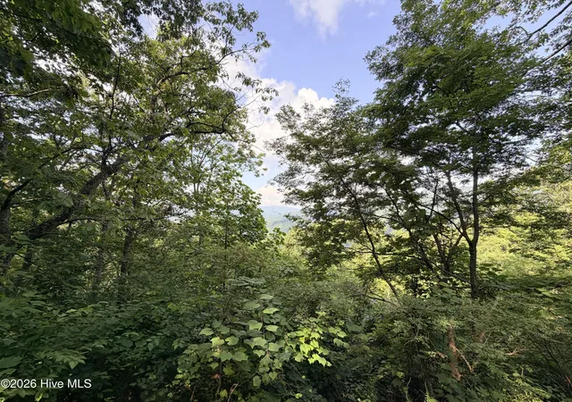 Photo 3 of Land for sale at Lot 7 Mystic Ridge Way W, Topton, NC 28781 | MLS# 100596645 | Listing updated on 2026-08-15