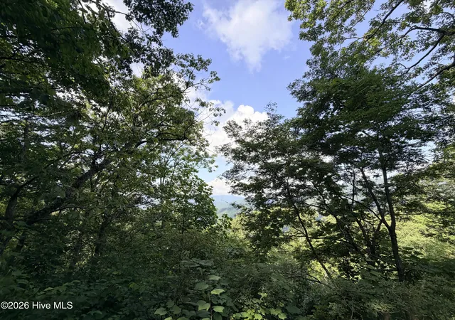 Photo 4 of Land for sale at Lot 7 Mystic Ridge Way W, Topton, NC 28781 | MLS# 100596645 | Listing updated on 2026-08-15