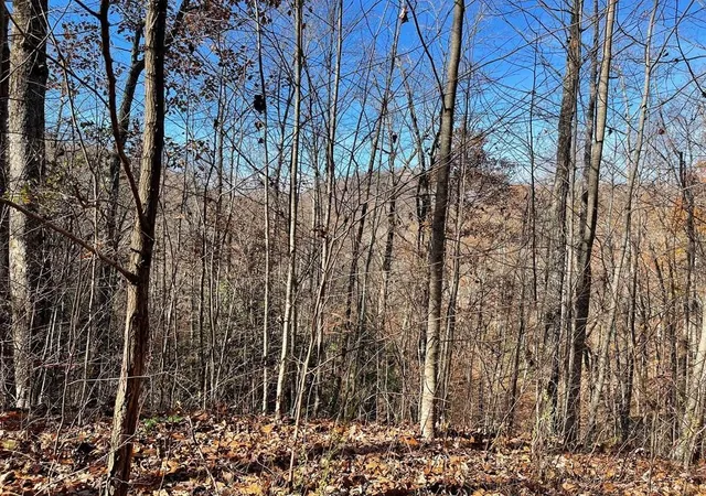 Photo 1 of Land for sale at Lot 49j Indian Trl, Hayesville, NC 28904 | MLS# 98524858 | Listing updated on 2026-07-21
