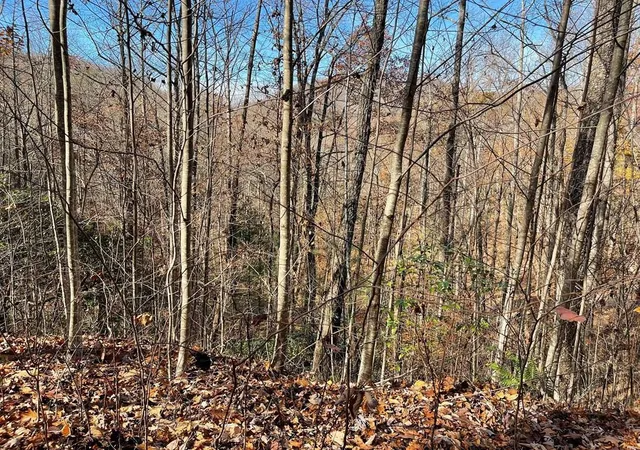 Photo 2 of Land for sale at Lot 49j Indian Trl, Hayesville, NC 28904 | MLS# 98524858 | Listing updated on 2026-07-21