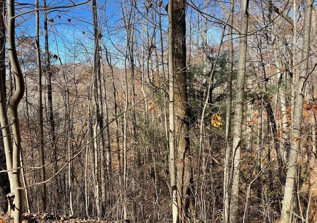 Photo 3 of Land for sale at Lot 49j Indian Trl, Hayesville, NC 28904 | MLS# 98524858 | Listing updated on 2026-07-21