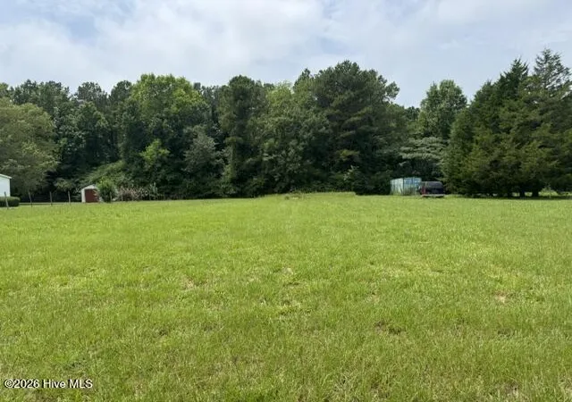 Photo 1 of Land for sale at 0 Shady Ln Rd, Willard, NC 28478 | MLS# 100591410 | Listing updated on 2026-09-16