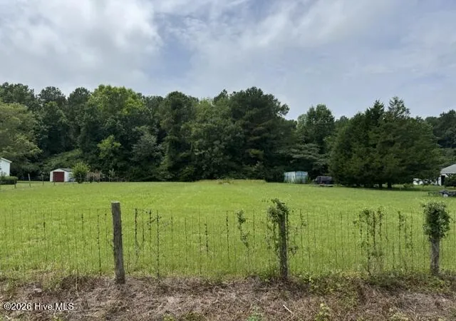 Photo 3 of Land for sale at 0 Shady Ln Rd, Willard, NC 28478 | MLS# 100591410 | Listing updated on 2026-09-16