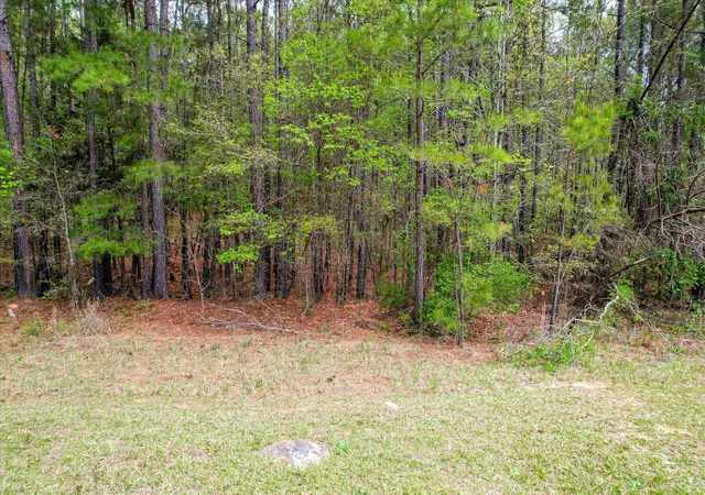 1st image of 1078 Clinton Williams Rd, Lincolnton, GA 30817 | MLS# 98255729