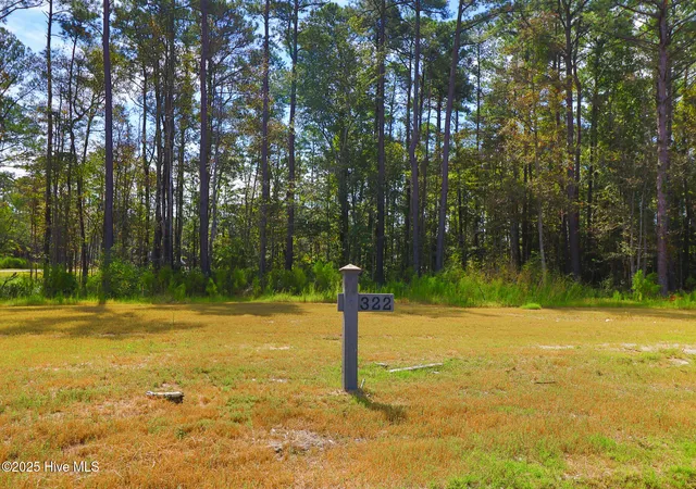 Photo 3 of Land for sale at 509 Swan Ct, Beaufort, NC 28516 | MLS# 100536233 | Listing updated on 2026-09-09