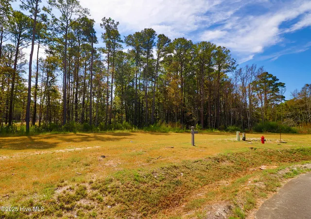 Photo 3 of Land for sale at 509 Swan Ct, Beaufort, NC 28516 | MLS# 100536233 | Listing updated on 2026-09-09