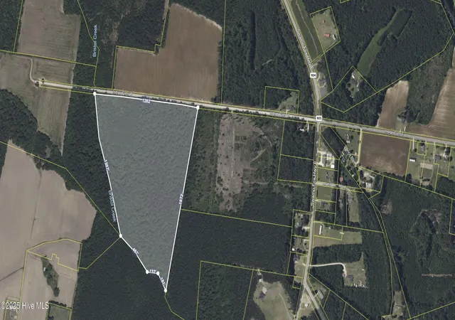 Photo 2 of Land for sale at 36ac Near 323 Indigo Flats Rd W, Tabor City, NC 28463 | MLS# 100570512 | Listing updated on 2026-06-05