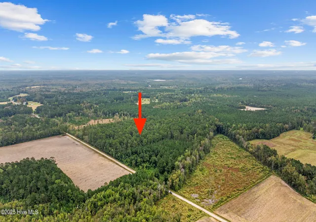 Photo 4 of Land for sale at 36ac Near 323 Indigo Flats Rd W, Tabor City, NC 28463 | MLS# 100570512 | Listing updated on 2026-06-05