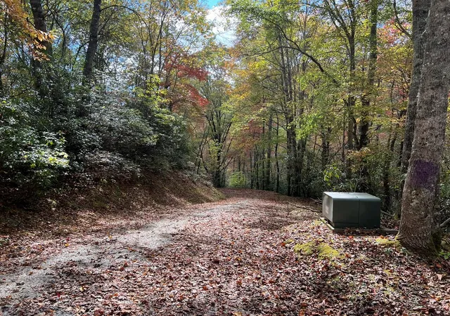 Homes for sale in Nantahala, NC | Lot 17 Black Bear Trl, Nantahala, NC 28781 | MLS# 98524271