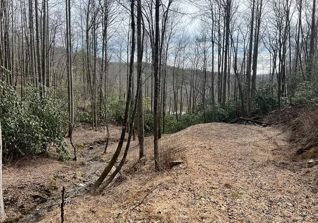Homes for sale in Nantahala, NC | Lot 17 Black Bear Trl, Nantahala, NC 28781 | MLS# 98524271
