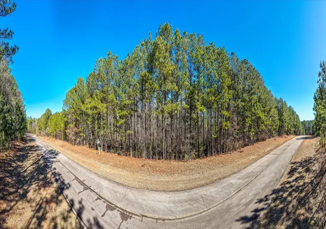 Photo 4 of Land for sale at Lot 64 Wisteria Dr, Lincolnton, GA 30817 | MLS# 98254620 | Listing updated on 2026-08-18