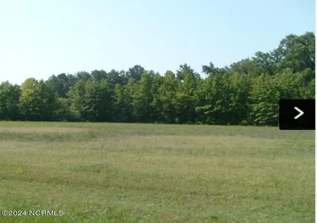 1st image of 0 Nicodemus Mile Rd, Rocky Mount, NC 27804 | MLS# 100472505