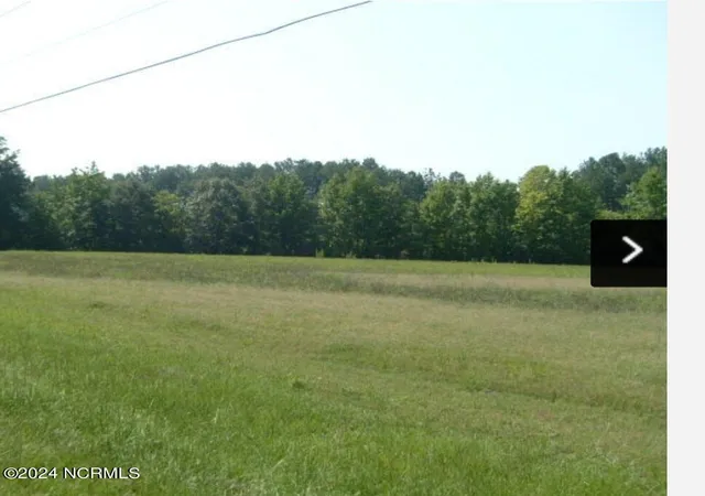 2nd image of 0 Nicodemus Mile Rd, Rocky Mount, NC 27804 | MLS# 100472505