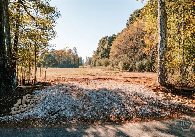 Homes for sale in Winterville, GA | Tract 5 Lakeview Dr, Winterville, GA 30683 | MLS# CL342540