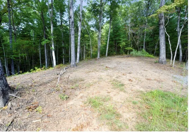 Photo 3 of Land for sale at Tbd Nature Valley Trl, Murphy, NC 28906 | MLS# 100594137 | Listing updated on 2026-09-09