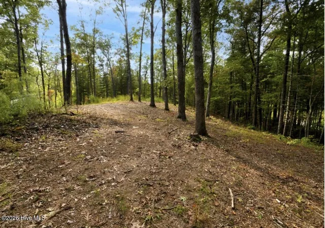 Photo 4 of Land for sale at Tbd Nature Valley Trl, Murphy, NC 28906 | MLS# 100594137 | Listing updated on 2026-09-09
