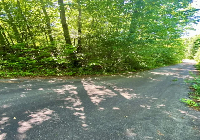 Photo 2 of Land for sale at 00 Deer Run, Robbinsville, NC 28771 | MLS# 98524221 | Listing updated on 2026-06-01