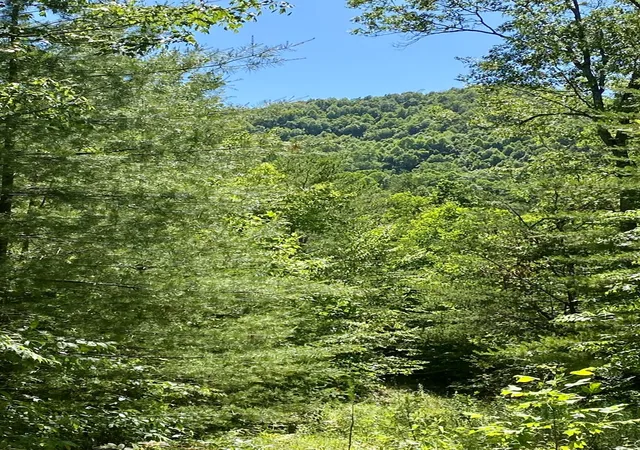Photo 8 of Land for sale at 00 Deer Run, Robbinsville, NC 28771 | MLS# 98524221 | Listing updated on 2026-06-01