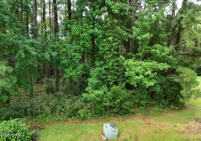 Photo 3 of Land for sale at 0 Horizon Crst, Hampstead, NC 28443 | MLS# 100590087 | Listing updated on 2026-09-18