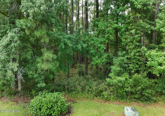 Photo 4 of Land for sale at 0 Horizon Crst, Hampstead, NC 28443 | MLS# 100590087 | Listing updated on 2026-09-18
