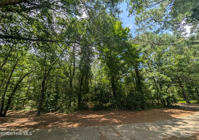 Homes for sale in Wallace, NC | (Undisclosed), Wallace, NC 28466 | MLS# 100560772
